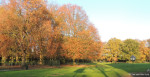 Rogmanspark